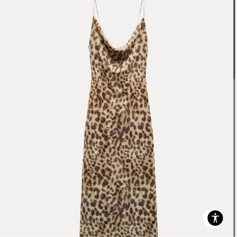 Zara Printed Tulle Dress